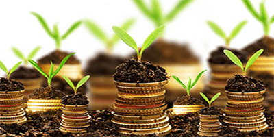 SHREE SAI FINCORP